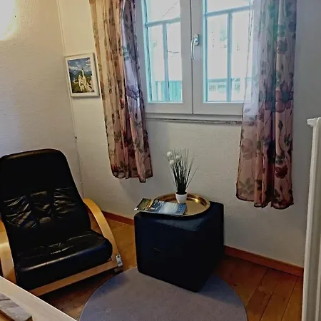 Heimeliges Toggenburgerhaus, Naehe Ski- Und Wanderwege Ferienhaus