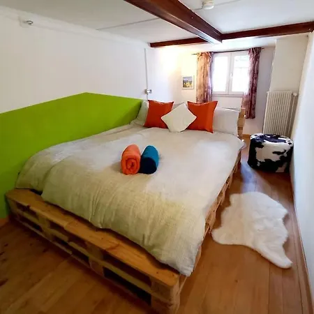 Heimeliges Toggenburgerhaus, Naehe Ski- Und Wanderwege エブナト＝カッペル