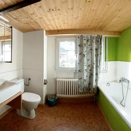 Heimeliges Toggenburgerhaus, Naehe Ski- Und Wanderwege エブナト＝カッペル